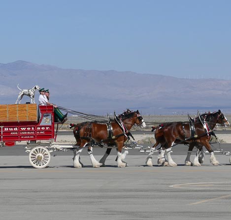 MCAS Yuma base commander